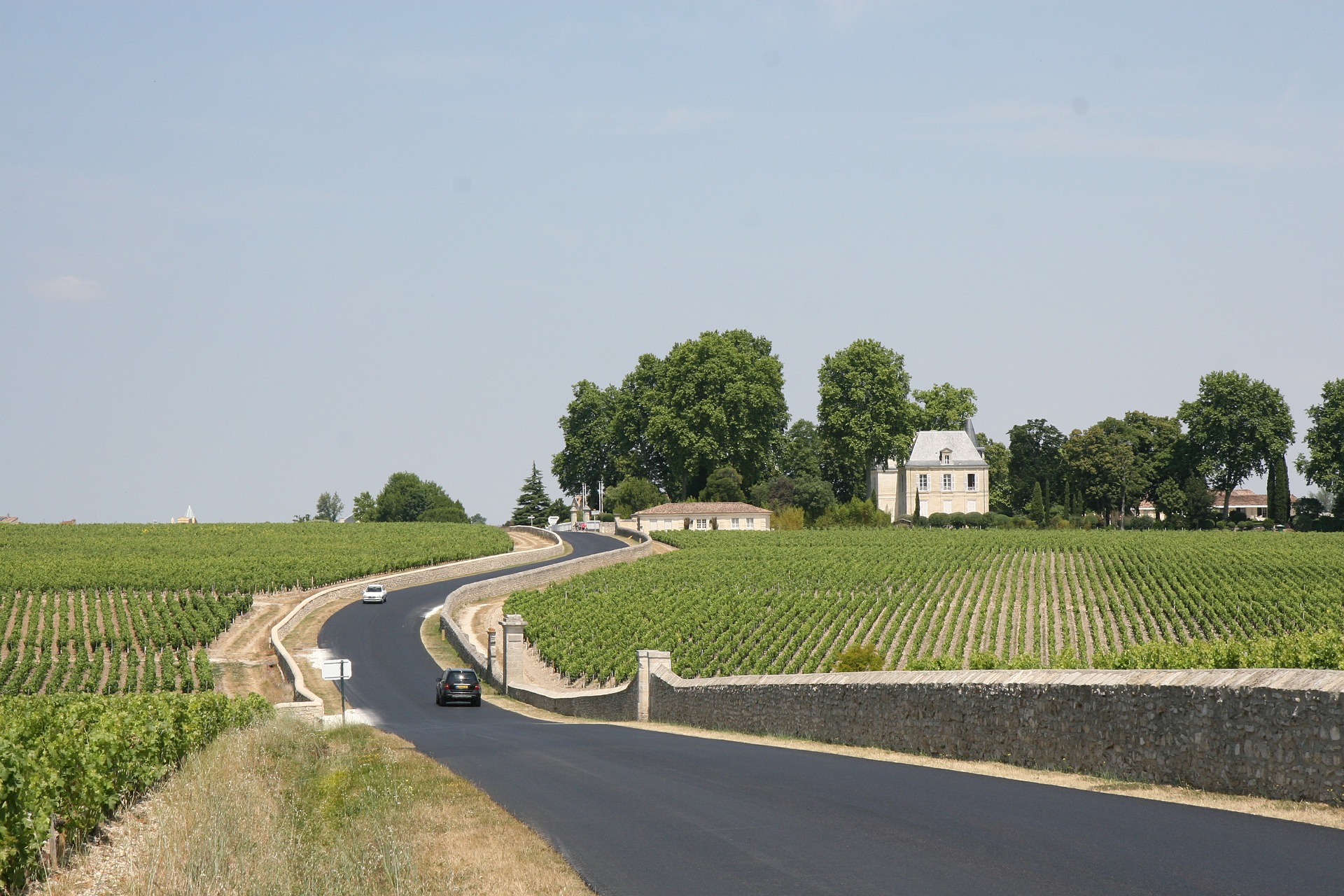 Bordeaux-vineyard-wine