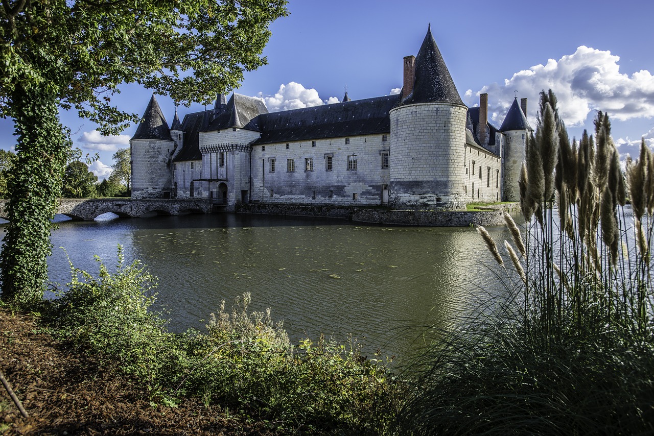 Plessis du Bourré Castle