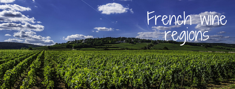 French wine regions