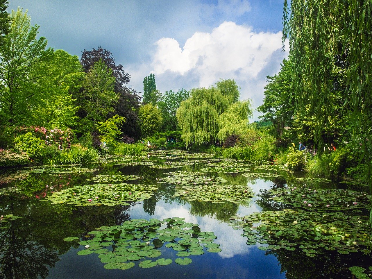 Monet Garden water lilies