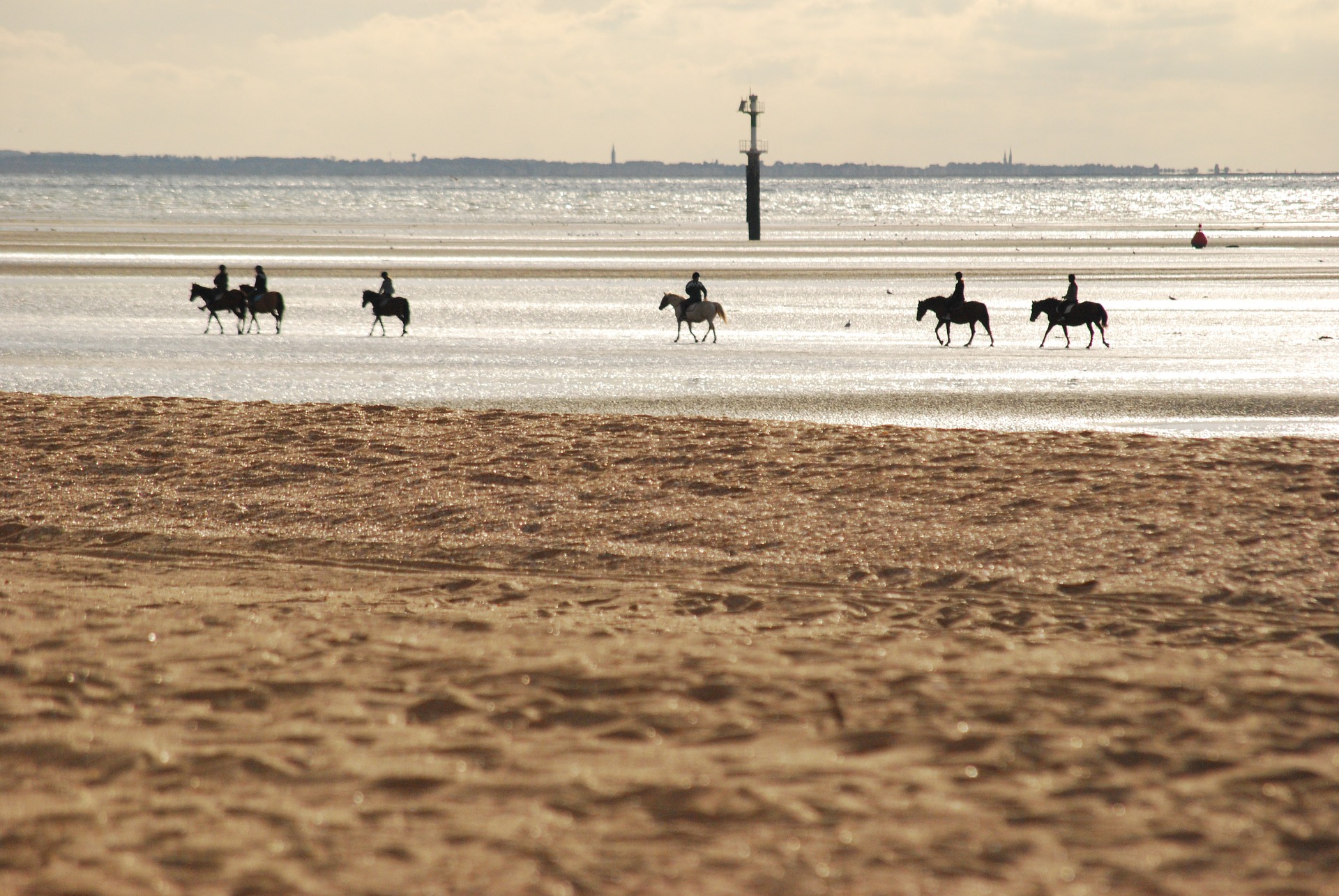 Houlgate horses Normandy